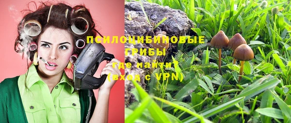 Альфа ПВП Армянск
