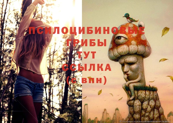 Альфа ПВП Аркадак