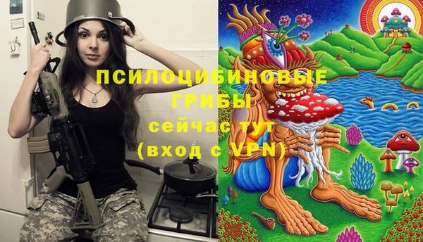Альфа ПВП Армянск