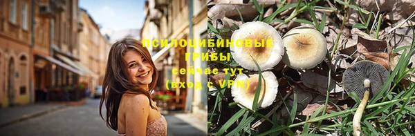 спайс Горняк