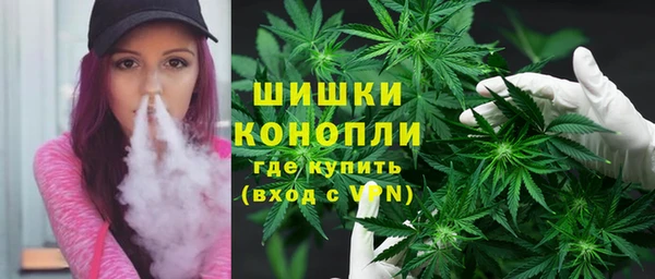 Альфа ПВП Аркадак