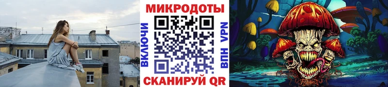 Галлюциногенные грибы Psilocybine cubensis  нарко площадка какой сайт  Суровикино  как найти закладки 